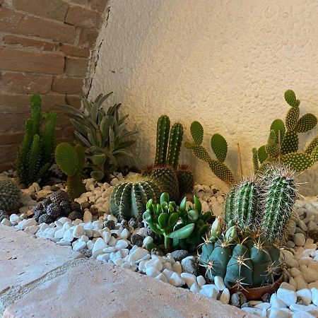 Cactus Suite Pisa Exteriér fotografie