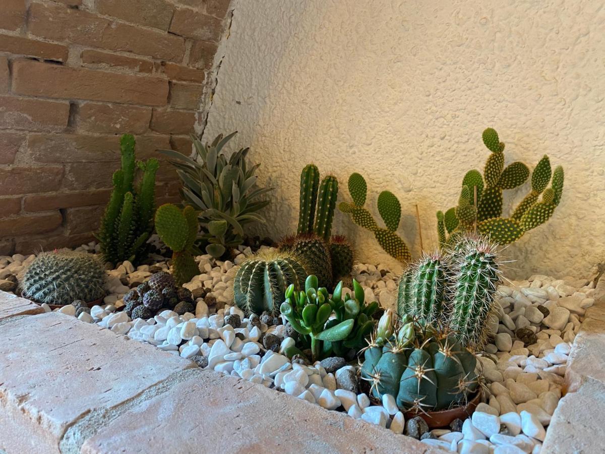 Cactus Suite Pisa Exteriér fotografie